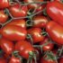 Pomodoro Scicli, varietà pixel